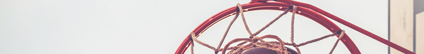 Panier de basket 